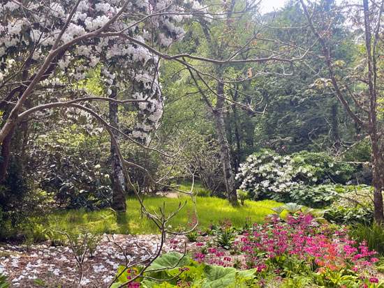 Garden-Experiences-Scotland Golf at Applecross